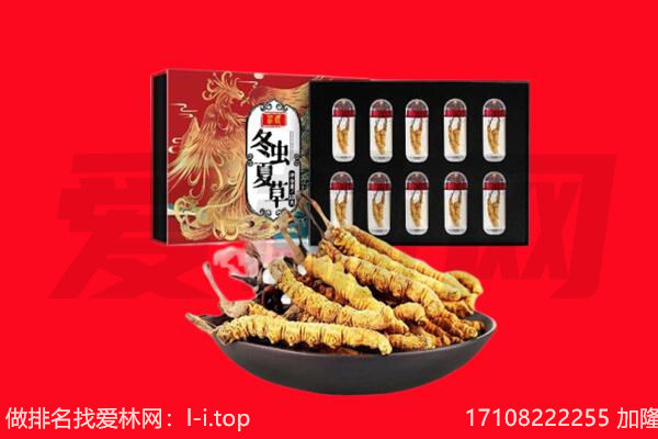六安回收虫草.jpg